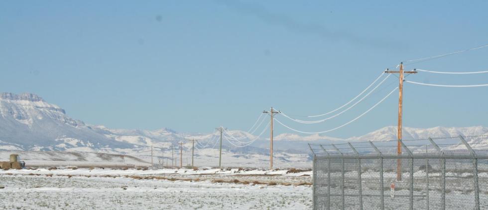 Sub with Snow Crop
